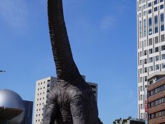 福井県は国内随一の恐竜化石の産出地です。