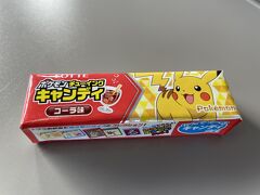 そこで見つけたポケモンチューイングキャンディ54円。
60円残っていたクーポンで購入できました！
思いの外娘が喜んでくれたので60円でもあきらめずに使えて良かった(笑)。
新宿西口には予定の17時より15分ほど早めに到着。
ドレッシングだの漬物だの買って荷物を持つとよろめきそうだったので、自宅の駅まで夫に迎えに来てもらいました。
今回初めての一人旅でしたが、ぼっちご飯をのぞけば思いの外楽しめました。
本当に行きたい場所があって、誰とも都合が合わなかったら、これからは一人で行ってしまうかも。