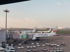 朝早く、羽田空港を出発。