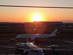 羽田空港ターミナル１の展望台で、夕日を見る。。。