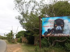 目的地はここです。レミュールパーク！
キツネザル君たちに会いに来ました。