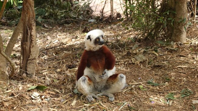 なんださっきと同じか？