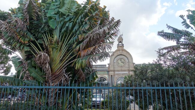旅人の木の向こうは旧アンタナナリボ駅