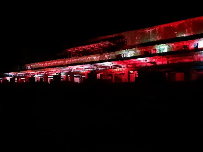 これはチョットドギツイ感じですが。