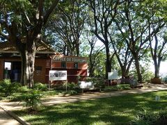 朝夕の日課となりつつある独立広場の公園です。