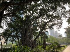 公園内を一周お散歩。
朝の公園はもうすでにちょっと暑いけど気持ちいい。