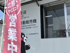 　行程には載ってませんが、ドライバーさんの休憩時間確保のため、北熊本サービスエリアで休憩。小さな売店とトイレしかないので、皆さん早々にお揃い。でも、日本もヨーロッパ並みになったようで、しっかり、時間まで待って、動き出しました。はちまん交通がそういう会社なのかもしれませんね。