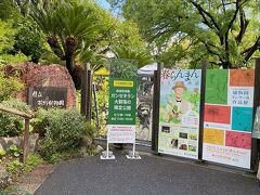 竹林寺の隣には、県立牧野植物園
突然、晴れてきました！