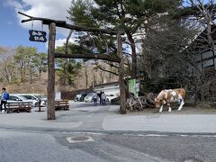 那須高原 南ヶ丘牧場