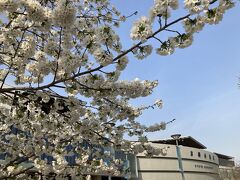 京都水族館