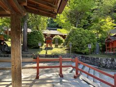 朝の春日大社良い感じです