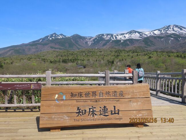 知床　残された神の土地 知床・残された神の土地 | 後藤 昌美 |本 | 通販 | Amazon