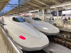 1週間後仕切り直しの旅に出ます。
仕事の都合で飛行機には間に合わないので、金曜日の夜新幹線ひかりで米原に移動します。