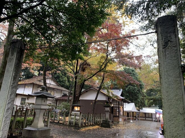 石鳥居ではありません。<br />神門もありません。<br />邪魔なので撤去されたようです。