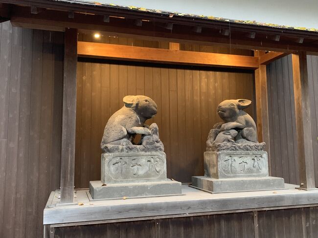 狛兎です。<br />