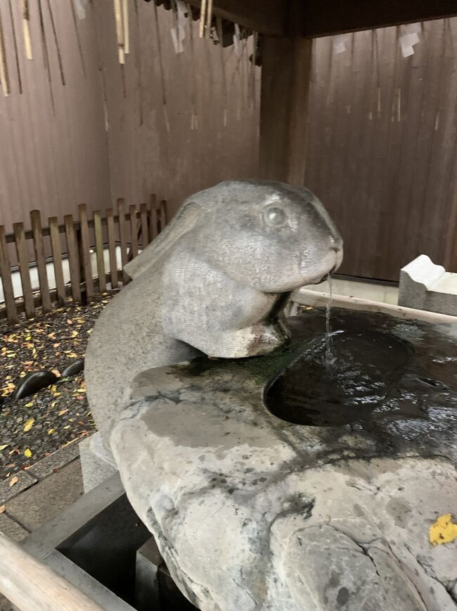 手水も龍ではなく、うさぎです。