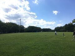 起点から8.4km付近には、東村山中央公園という大きな公園があります。
公園の中央に芝生の広場があり、子供がボールを蹴って遊んでいました。
