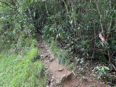 屋良部岳の登山口へ到着。
この先、がけ崩れ？で通行止めになってました。