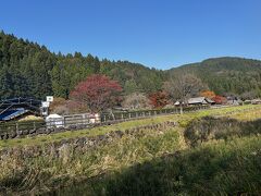 一乗谷川の両岸にのどかな田園が広がっている。