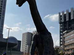 福井駅の西口には何頭かの巨大な恐竜があたりを睥睨している。
この恐竜像は首や身体を動かせるすぐれもの。
夜になるとらいとあっぷされる。福井駅西口恐竜広場だ。