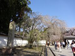 ランチですっかり満足して、帰ってしまいそうになりましたが、今日の目的は醍醐寺。世界遺産検定1級保持者である友人Mの、京都で訪れていない世界遺産が醍醐寺だったのです。京都駅からJR＋地下鉄＋徒歩でやってきました。（京都駅八条口近くから、1本で来られるバスも出ています。）