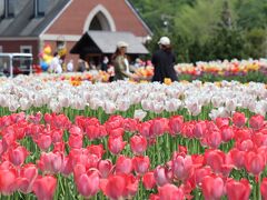 左奥の茶色いレンガ造りの建物はレストランです。