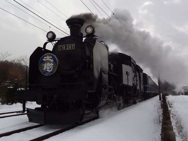 冬の鬼怒川温泉保養旅・その1.東武鉄道株主優待券&雪上を走る