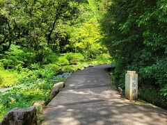 観光交流センターで降りて土産物が並ぶ道を抜けると秋芳洞入口があります