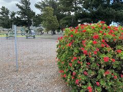 マウナケアに行く前の公園、子供も遊んでた