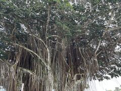 モオヘアウ公園