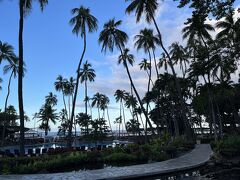 ハワイに来ると朝のお散歩したくなるの。人も少なくていい感じ、夕方や夜の散歩ももちろんいいけど