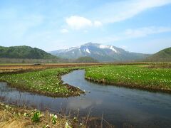 後回しにしたおかげで、最高のときにこのビューポイントに来ることができました。しかも人が少ない！　シーズン中は行列ができると聞いていましたが、私の他には3人しかいませんでした。