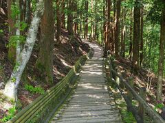 奥祖谷二重かずら橋