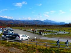 その後、清里の本丸、清泉寮に。牛が10頭いました。天気が良く、ホッとする景色です。