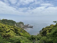 展望台から見た勝浦の海岸