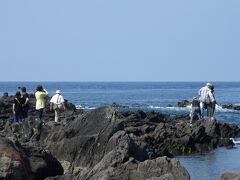 遊歩道があるところまで歩いて