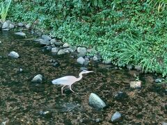 城崎温泉の町並み