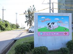 ミルミル本舗 本店