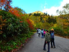 ロープウェイ山頂から少し歩き、約8分。11時18分「栂池自然園」到着。