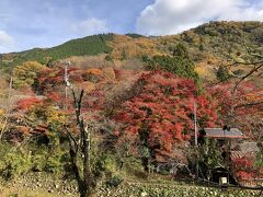 山の紅葉も美しい。