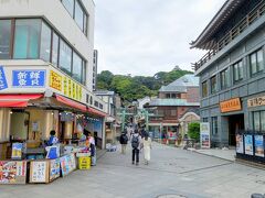 上陸しました。