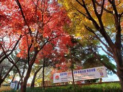 仁川自由公園にはマッカーサー像があり、ぜひとも訪れたいと思っていたのですが、マッカーサー像広場は改修工事中で入る事が出来ませんでした。この木々の奥にマッカーサーの像があるのですが・・・。
でもいい紅葉の季節で綺麗な景色を見る事が出来ましたのでそれは良かったです。