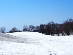 　昨年も訪れた福山峠の雪上桜ですが、まだつぼみ程度でした。
(   https://niigata-kankou.or.jp/experience/41748   )

＜資料＞
基本情報
開催期間	2023年4月8日～2023年4月16日
住所	新潟県魚沼市福山新田1326（福山峠のふるさと広場）
交通アクセス	●関越自動車道「小出IC」より車で約45分
●関越自動車道「堀之内IC」より車で約50分
駐車場	5～10台
雪解け後は20台程度
営業時間	午前９時から午後５時まで　
※上記の時間以外の施設内への入場はご遠慮ください。
※2023年4月8日から4月16日期間以外は関係者しか立ち入れませんのでご注意ください（折れ枝の撤去、除雪作業含め受け入れ準備のため）
料金	施設入場料：大人300円（中学生以上）、こども200円（未就学児：無料）　※管理棟にて受付をお願いします
