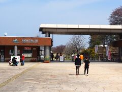 　４月５日、越後丘陵公園(  https://echigo-park.jp/   )を訪ねました。
