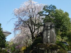 少林山達磨寺