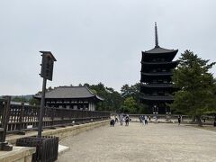 興福寺の「東金堂」と「五重塔」