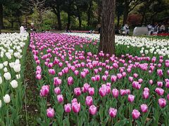 横浜公園