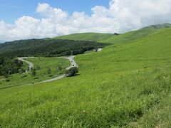 蓼科湖から車で50分ほどのところに広がる霧ケ峰高原。
白樺湖から霧ヶ峰に向かうビーナスラインは曲がりくねった道路が続きますが、道路沿いには緑豊かな草原が広がっていて、気持ち良いドライブが楽しめます。6月はレンゲツツジが、7月にはニッコウキスゲが見られ、高山植物も数多く生育しています。グライダー発祥の地としても知られていて、運が良いとグライダーが空を舞う姿も見られます。高原内にはハイキングやトレッキングのコースがいくつもあり、体力に応じて高山植物を見ながらの散策が楽しめます。