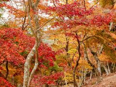 修善寺自然公園