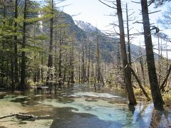 岳沢湿原です。